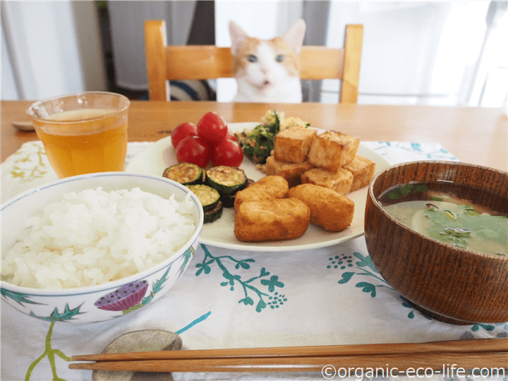猫とお昼ごはん